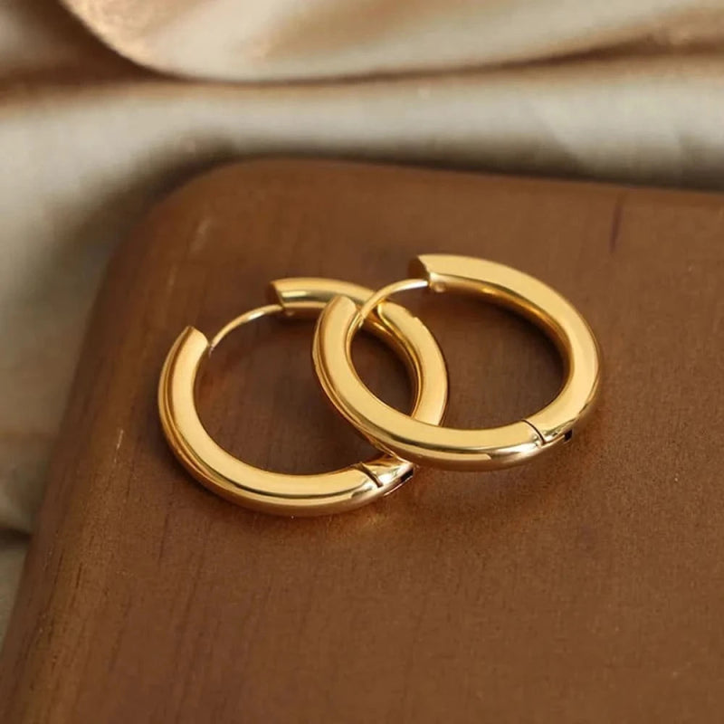 18K Gold - Plated Huggie Earrings - ShalayeFashion