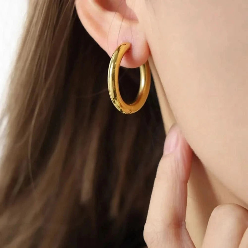 18K Gold - Plated Huggie Earrings - ShalayeFashion
