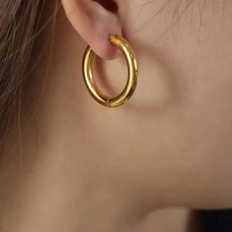 18K Gold - Plated Huggie Earrings - ShalayeFashion