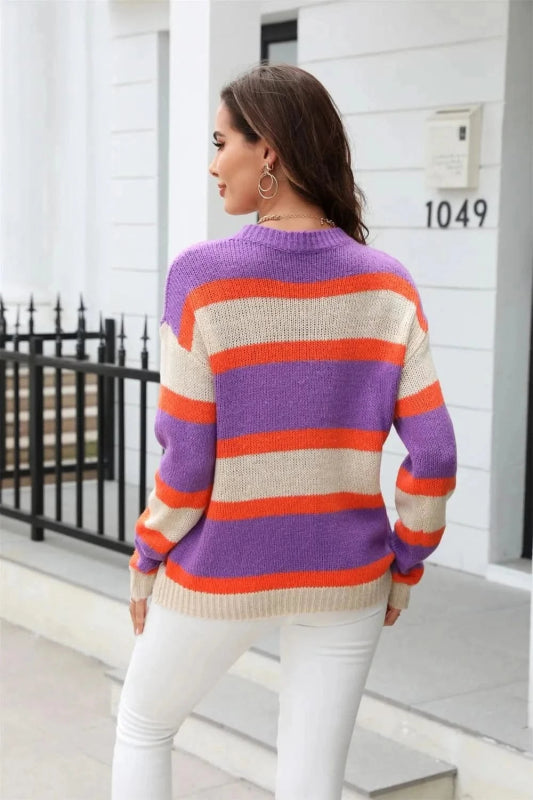 Angel Wings Color Block Round Neck Dropped Shoulder Sweater - ShalayeFashion