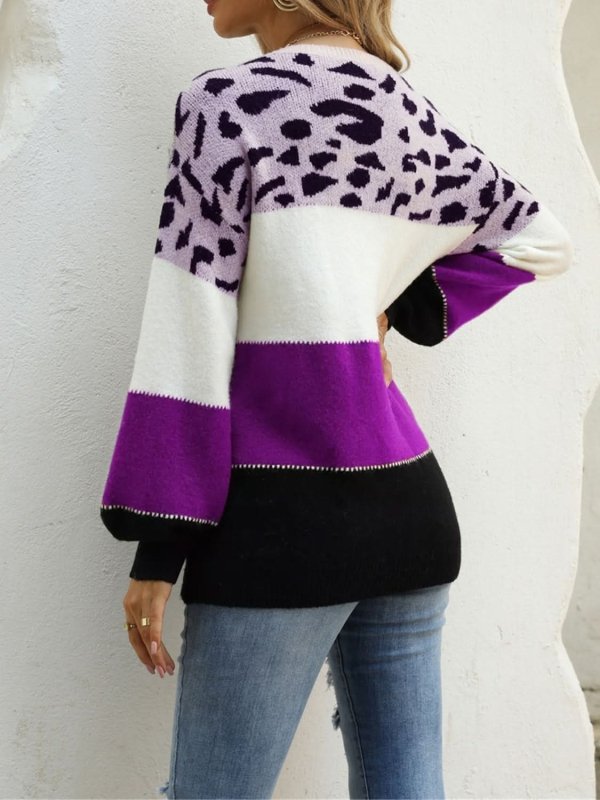 Angel Wings Color Block Round Neck Sweater - ShalayeFashion
