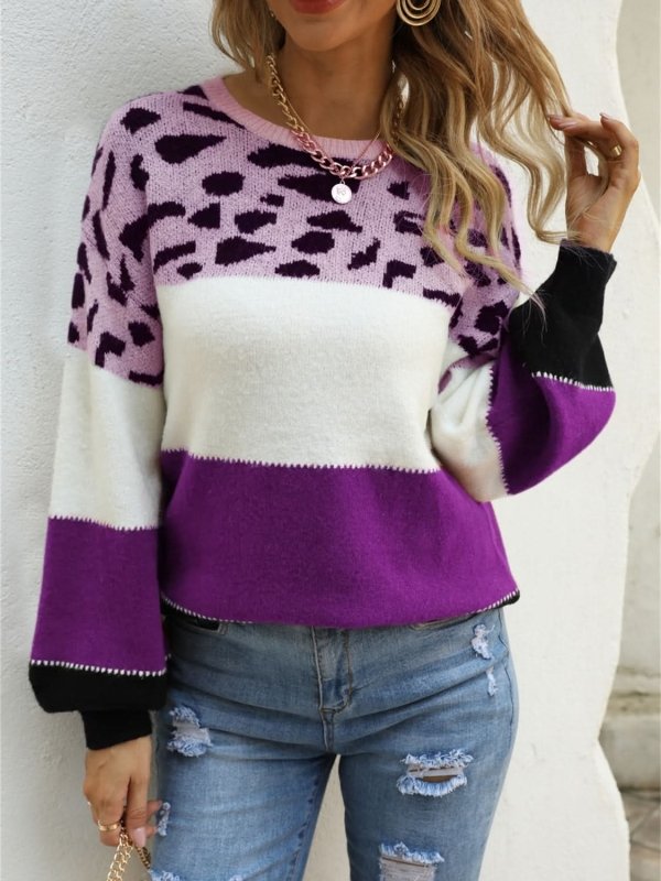 Angel Wings Color Block Round Neck Sweater - ShalayeFashion