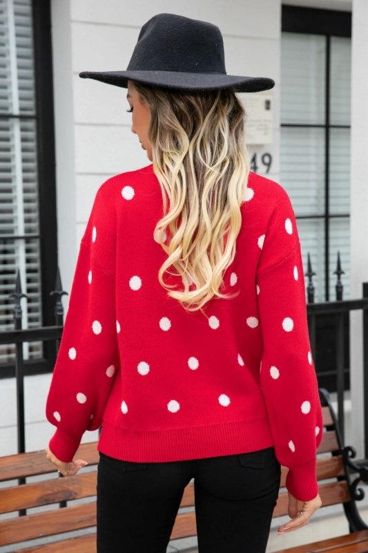 Angel Wings Woven Right Polka Dot Round Neck Dropped Shoulder Sweater - ShalayeFashion