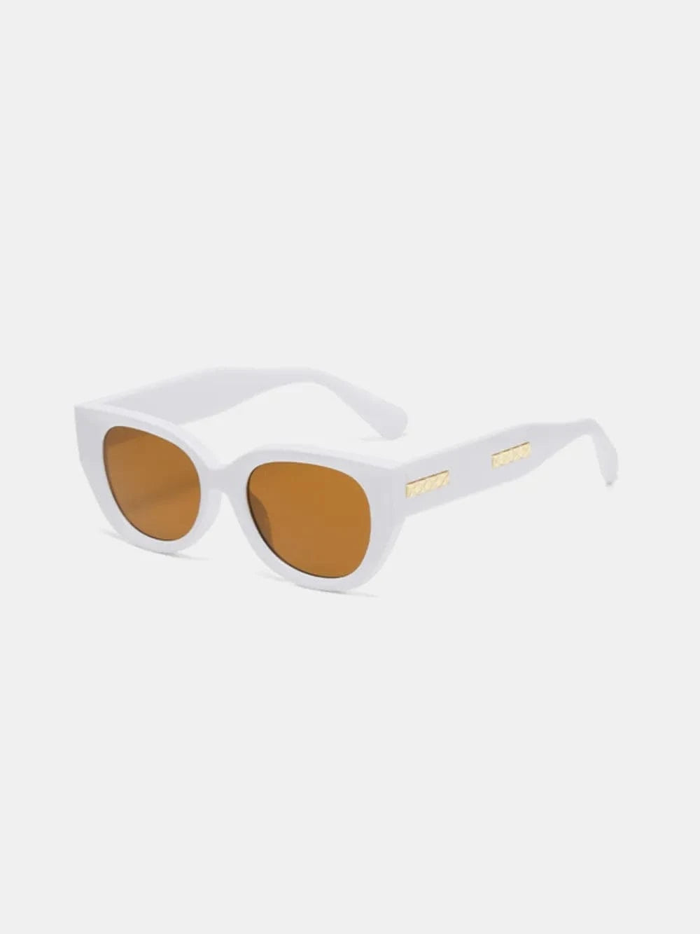 Cat Eye Polycarbonate Frame Sunglasses - ShalayeFashion