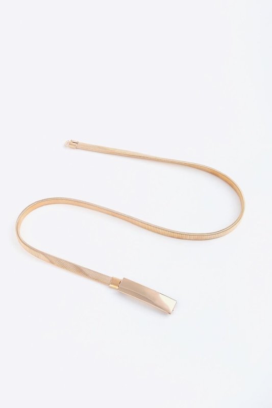 Elastic Iron Skinny Belt - ShalayeFashion