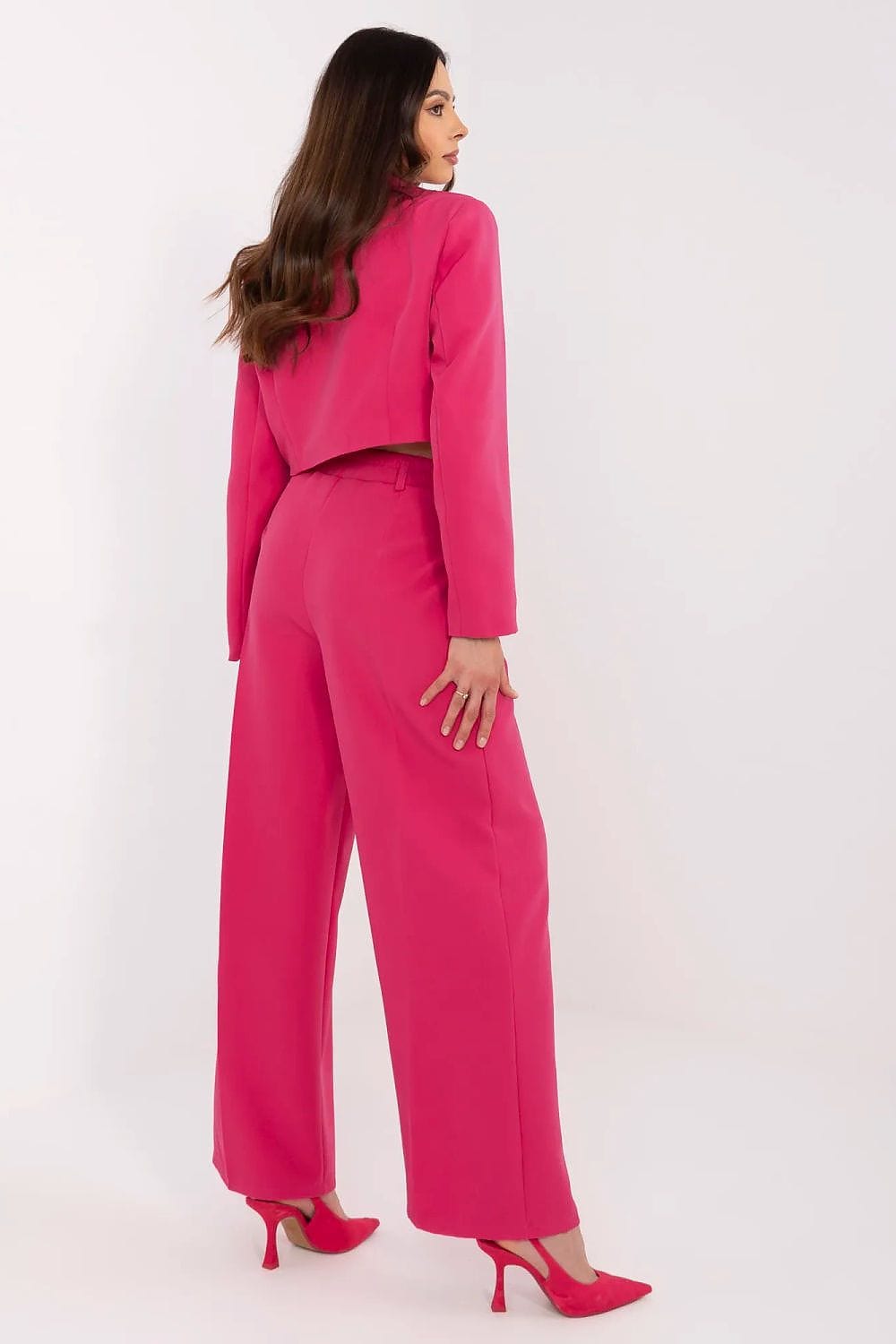 Elegant Blazer Pants Set Professional - ShalayeFashion