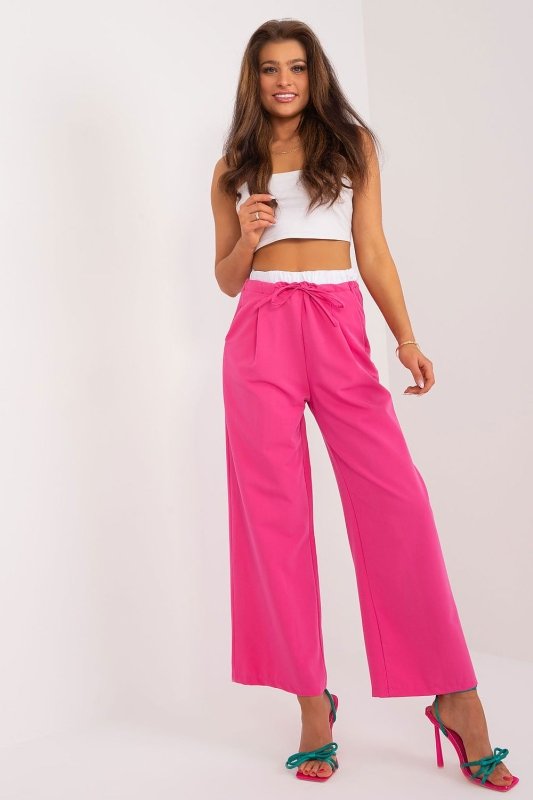 Palazzo Pants Decorative Darts Tie Waist - ShalayeFashion
