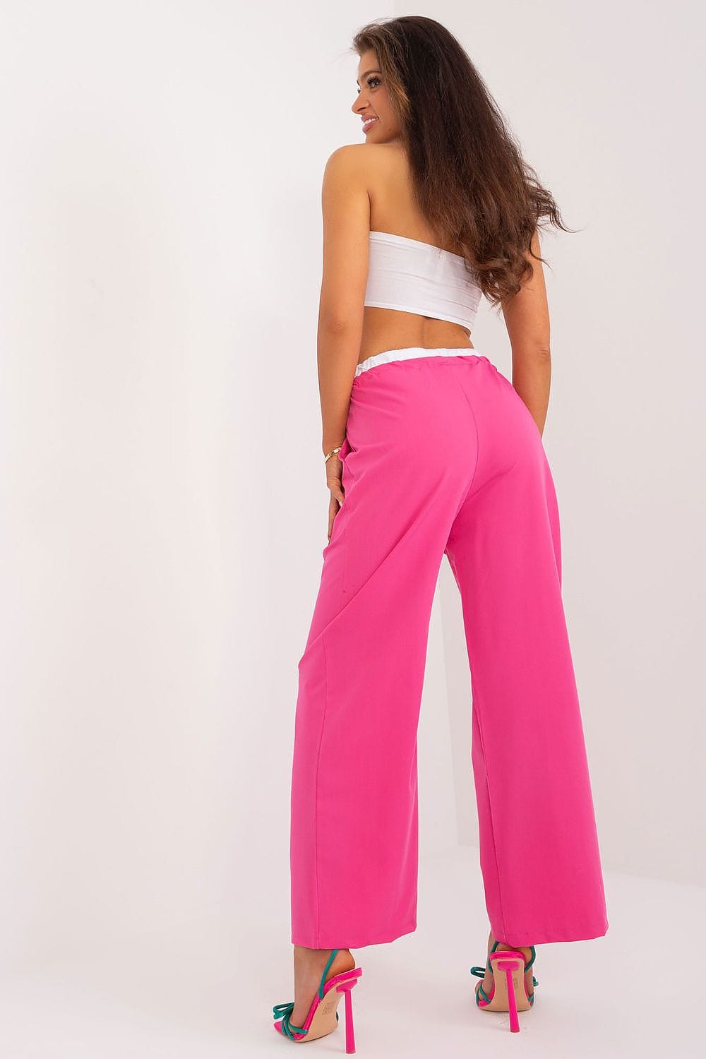 Palazzo Pants Decorative Darts Tie Waist - ShalayeFashion