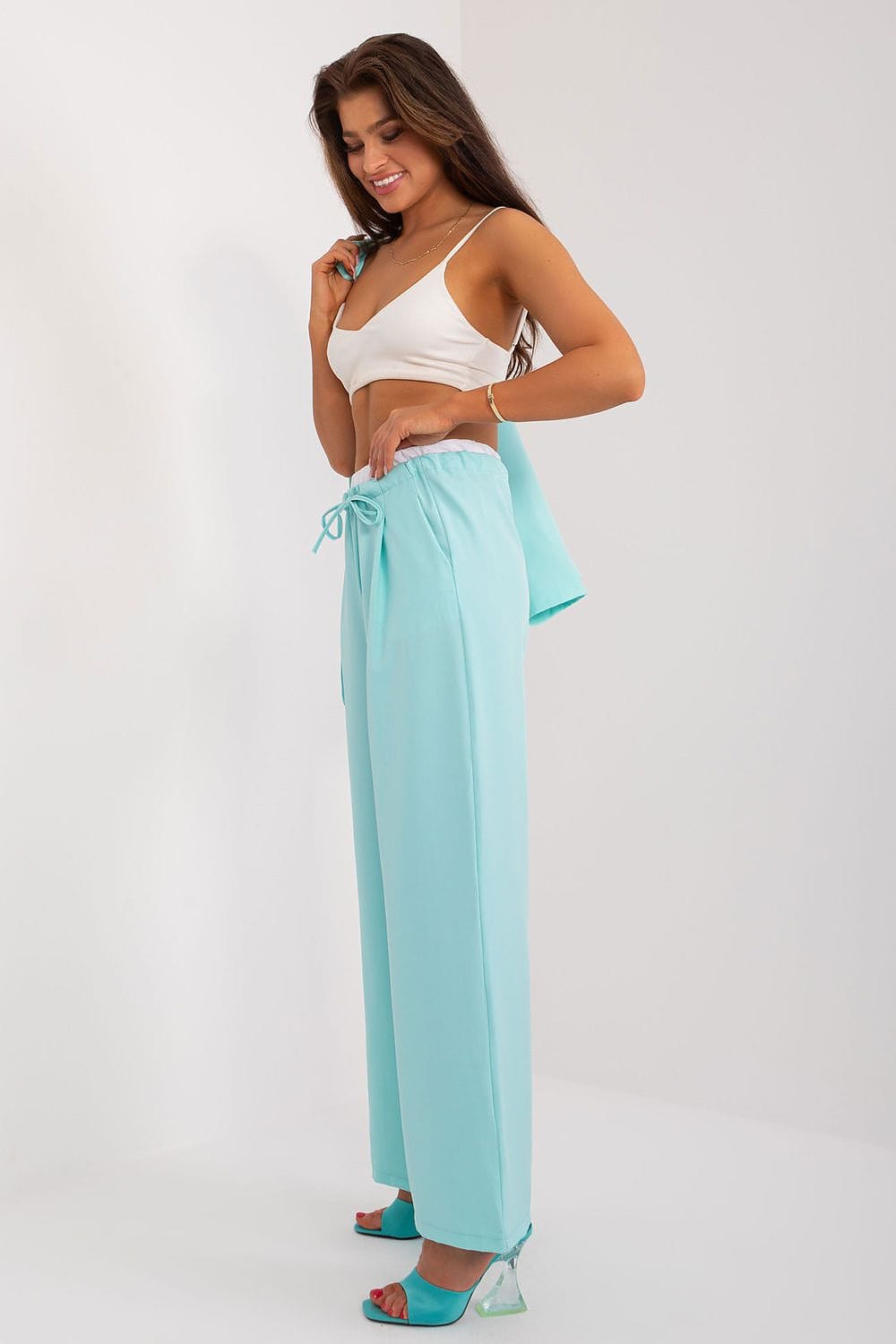 Palazzo Pants Decorative Darts Tie Waist - ShalayeFashion