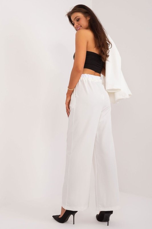 Palazzo Pants Decorative Darts Tie Waist - ShalayeFashion