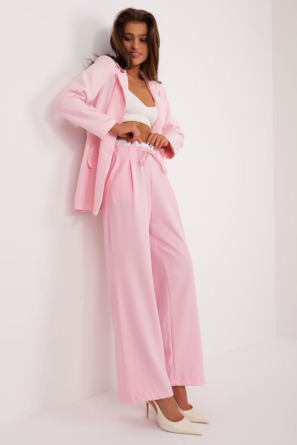 Palazzo Pants Decorative Darts Tie Waist - ShalayeFashion