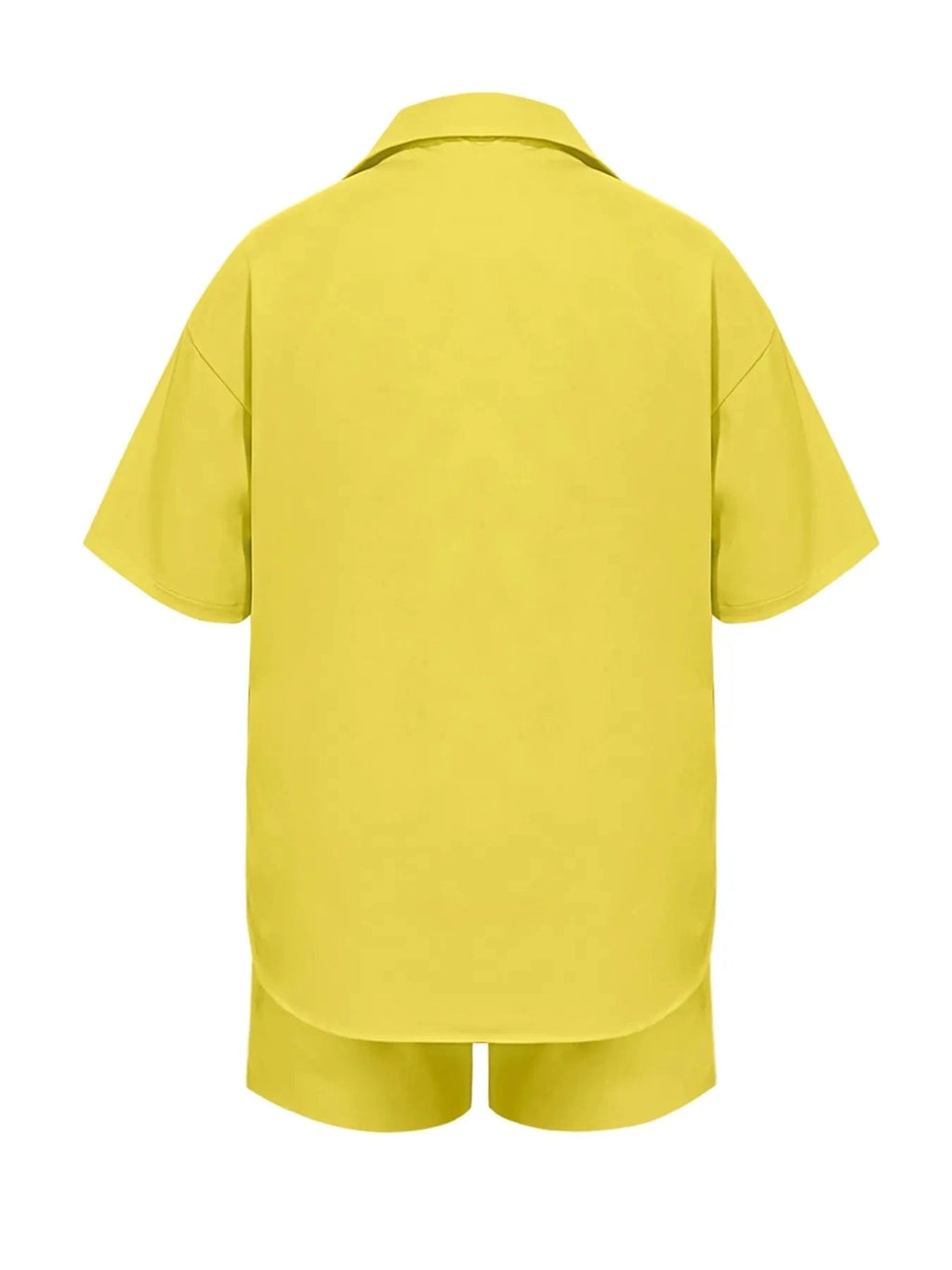 Plus Size Short Sleeve Top and Shorts Set - ShalayeFashion