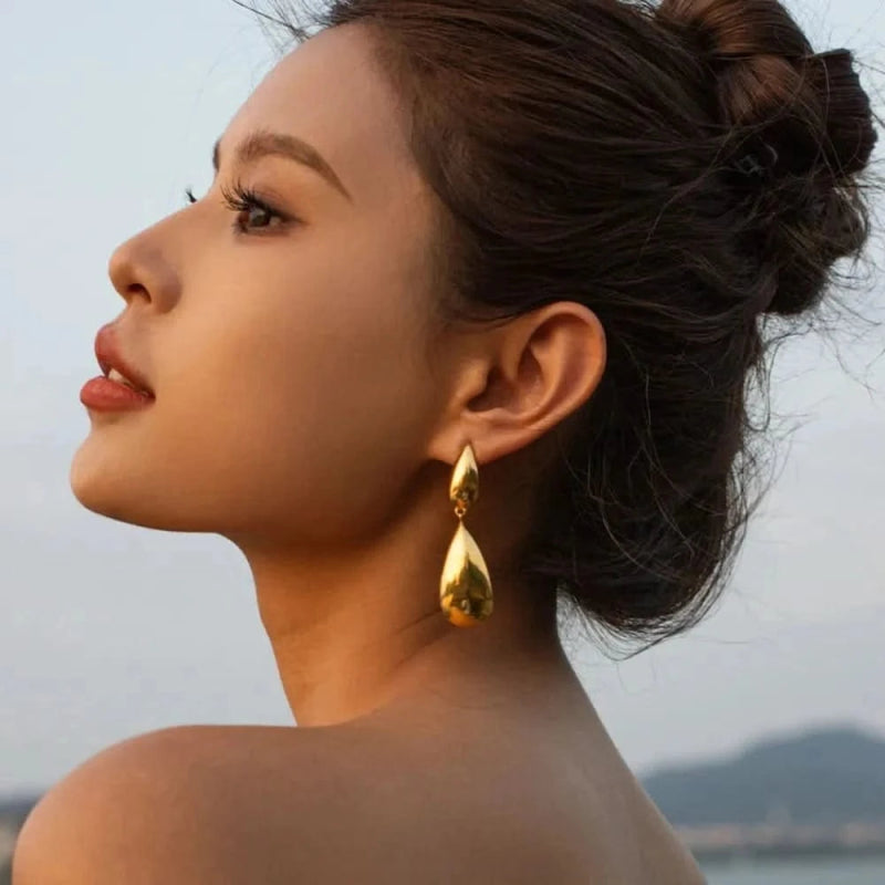 Stainless Steel Dangle Earrings - ShalayeFashion