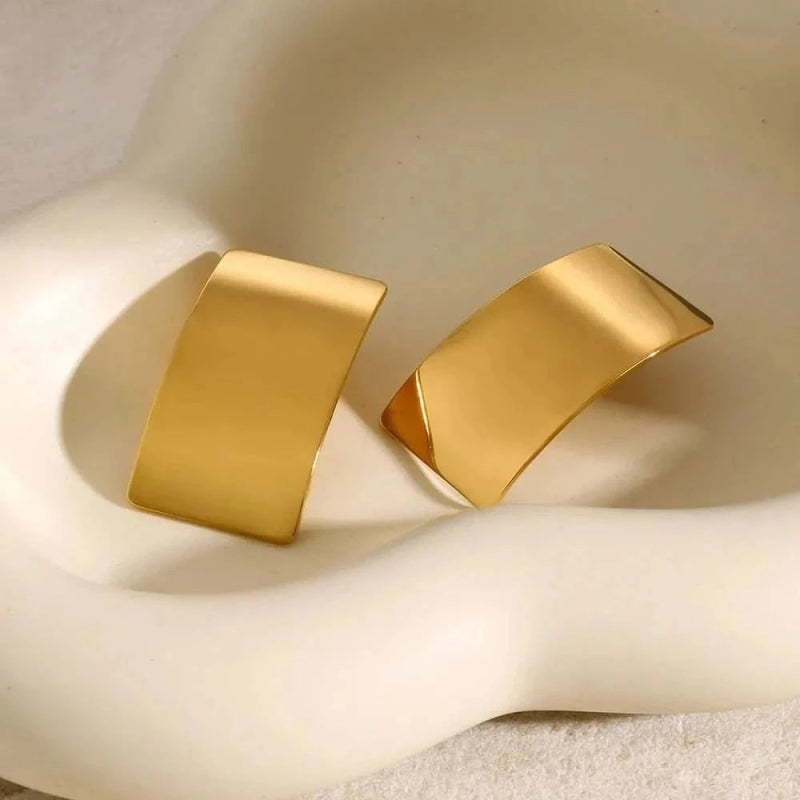 Stainless Steel Rectangle Earring - ShalayeFashion