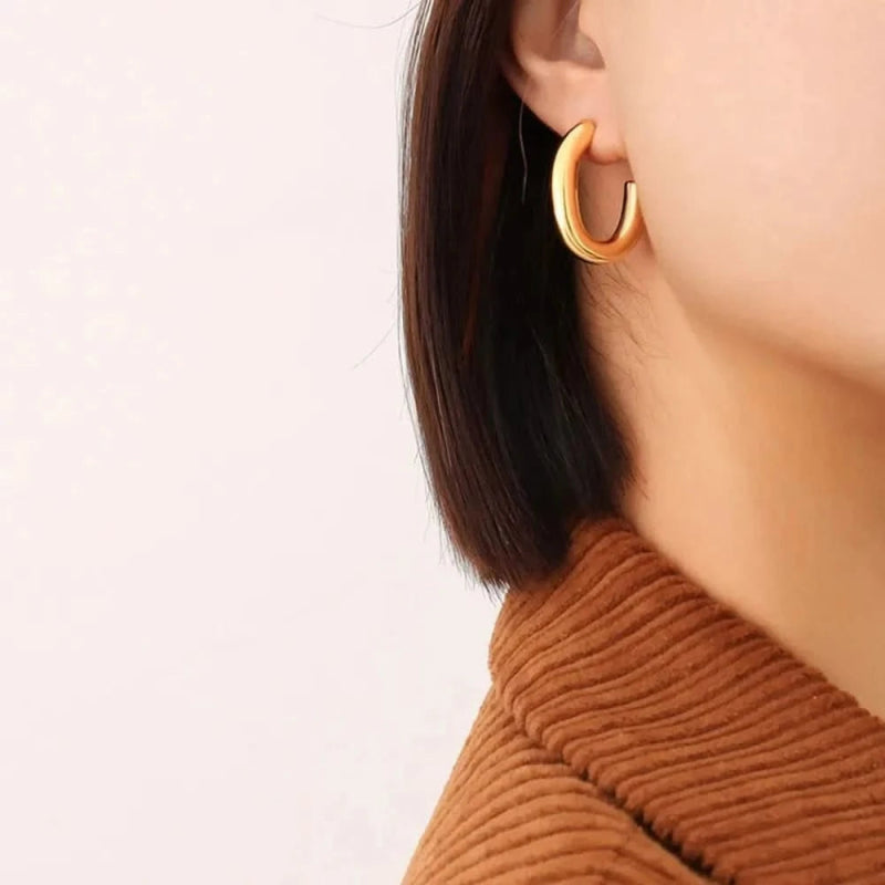Titanium Steel Gold - Plated Earrings - ShalayeFashion