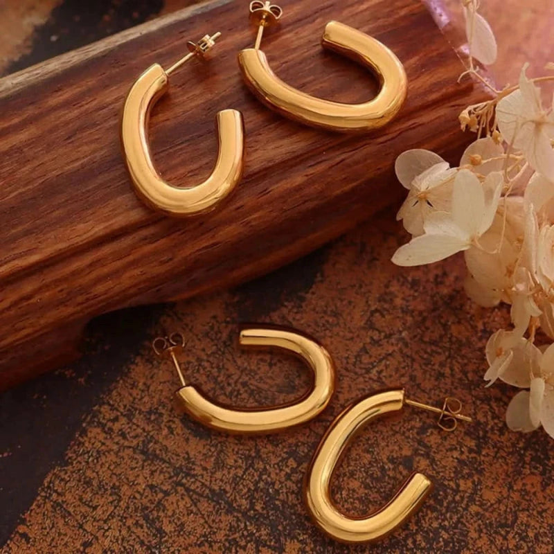 Titanium Steel Gold - Plated Earrings - ShalayeFashion