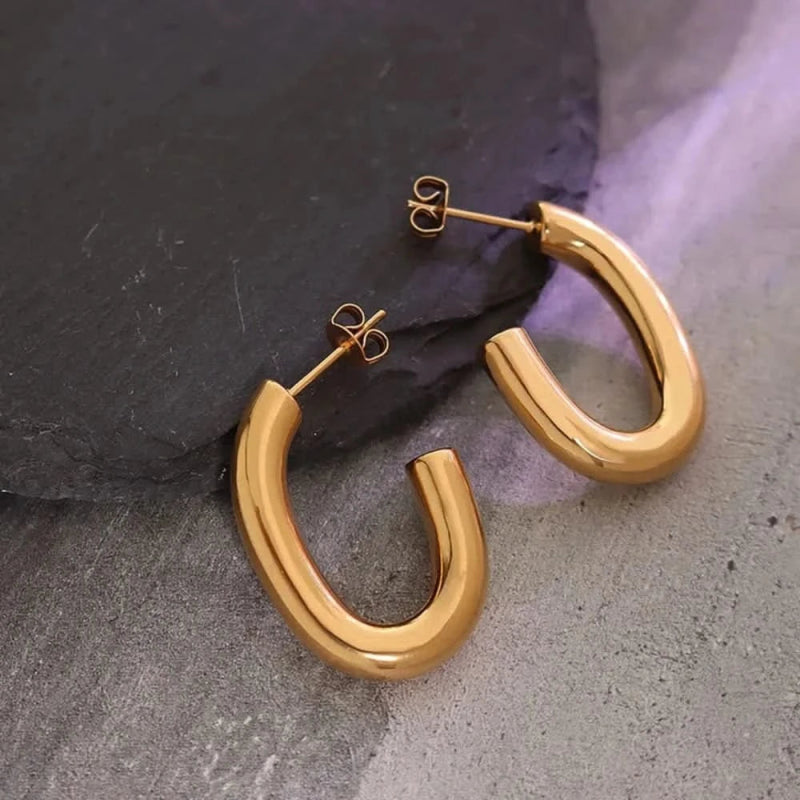 Titanium Steel Gold - Plated Earrings - ShalayeFashion