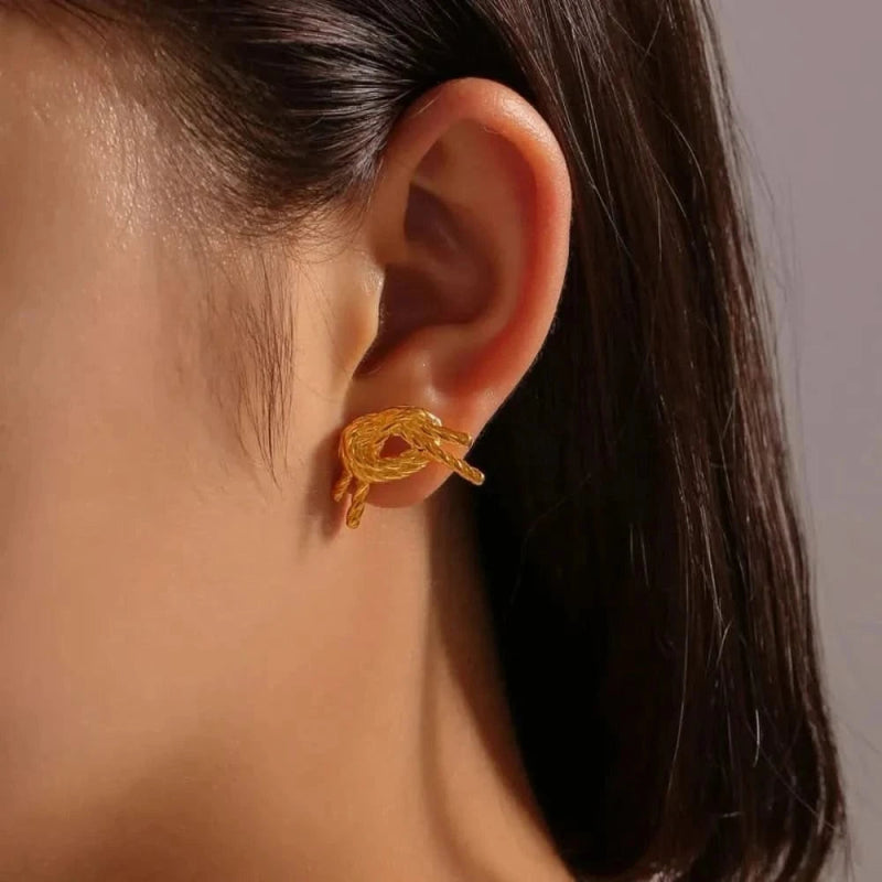 Titanium Steel Stud Earrings - ShalayeFashion