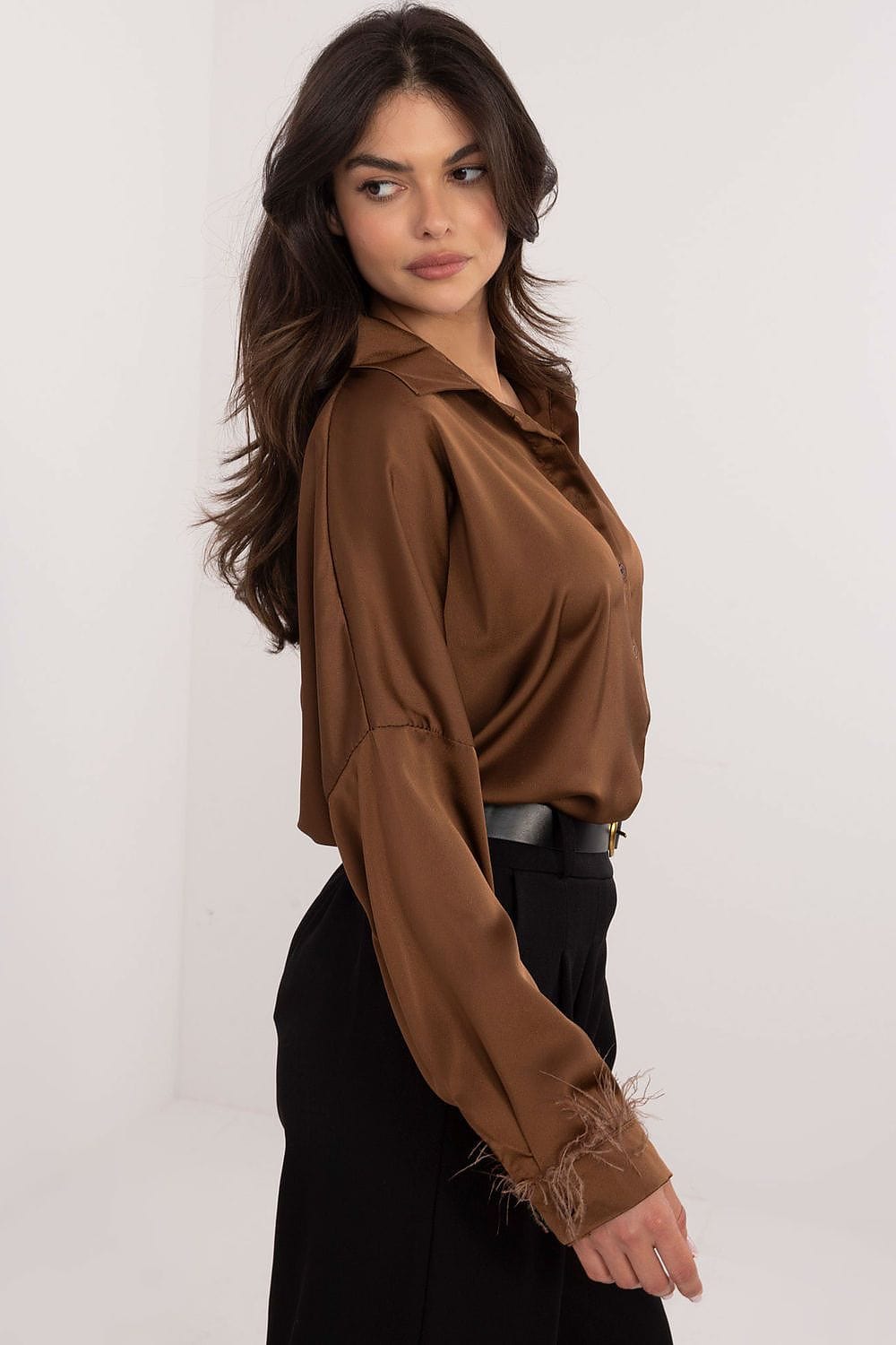 Women Business Shirt Long Sleeve - ShalayeFashion