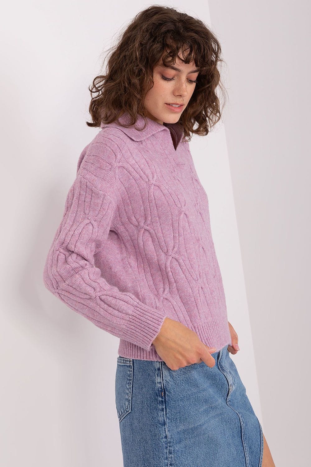 Women Sweater Collar Textured - ShalayeFashion