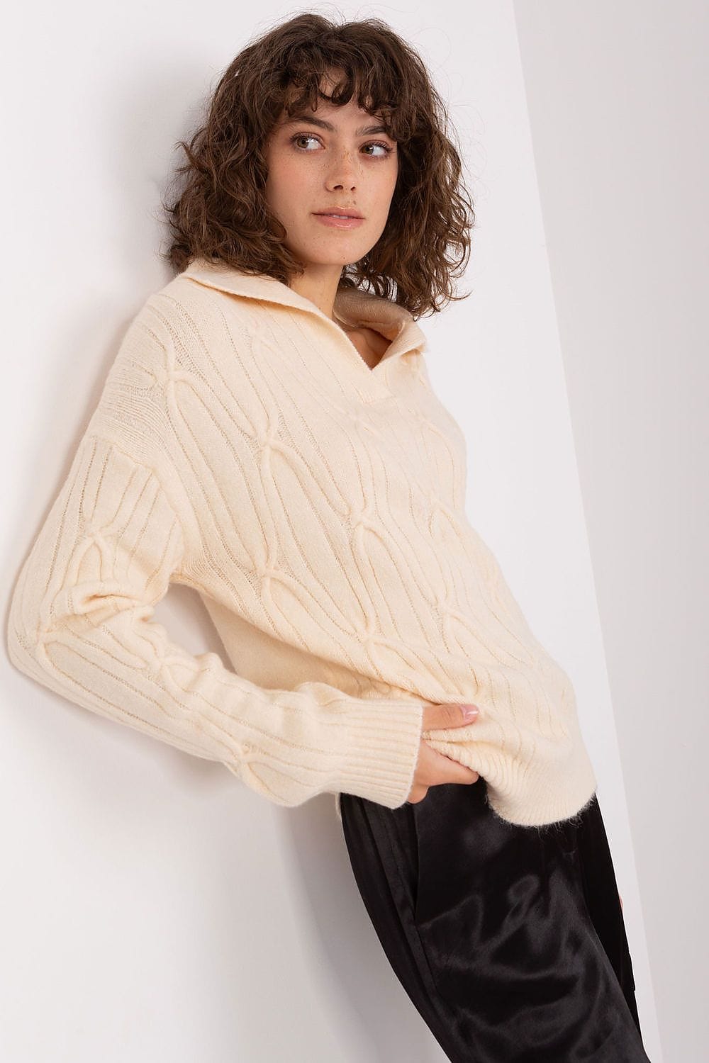 Women Sweater Collar Textured - ShalayeFashion