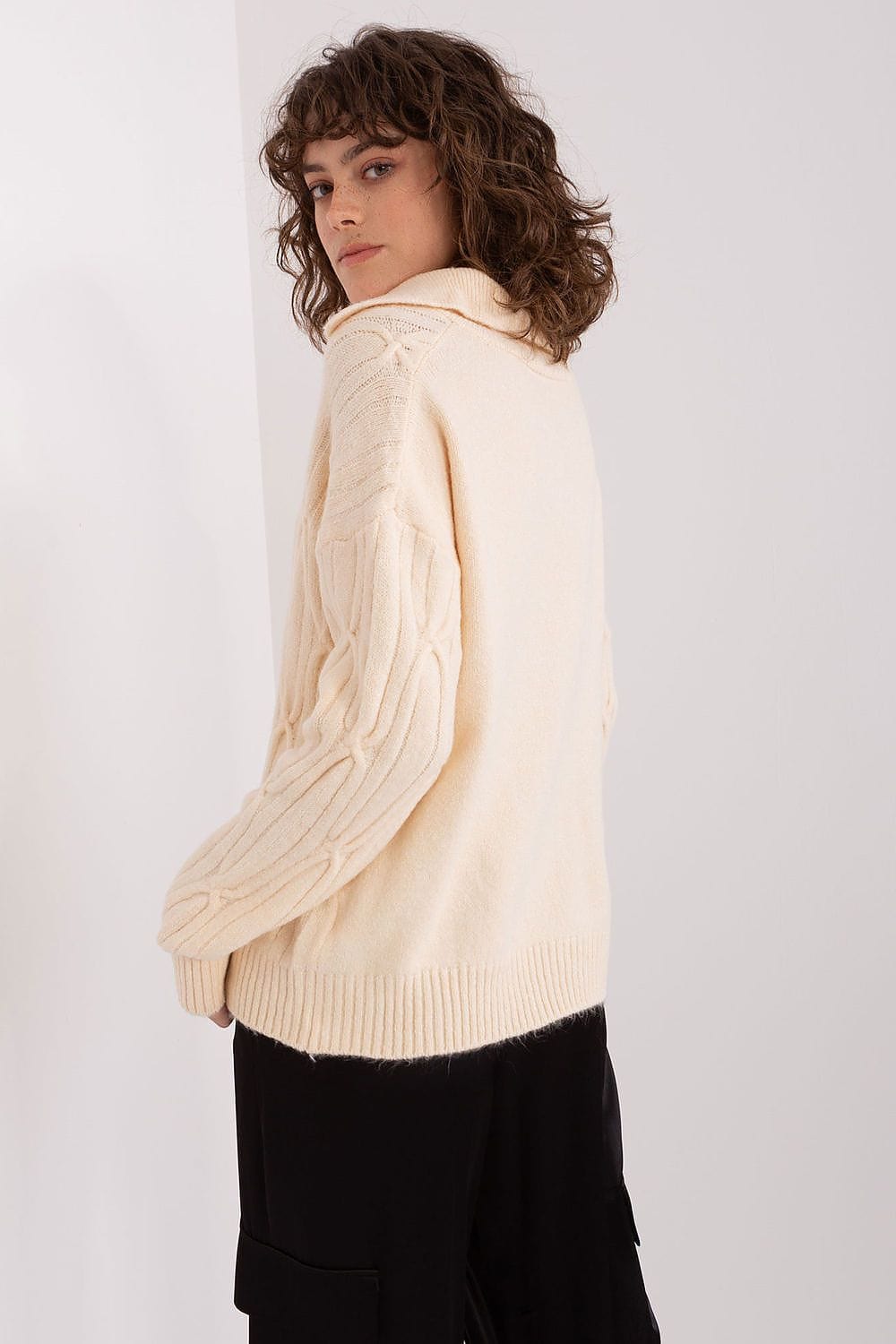 Women Sweater Collar Textured - ShalayeFashion