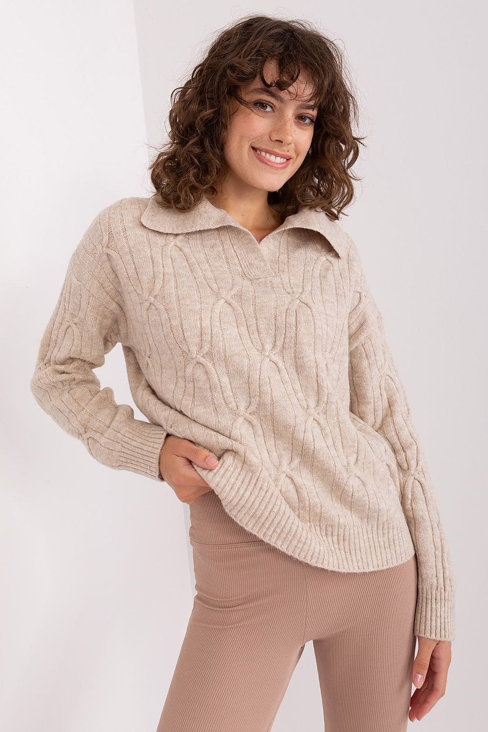 Women Sweater Collar Textured - ShalayeFashion