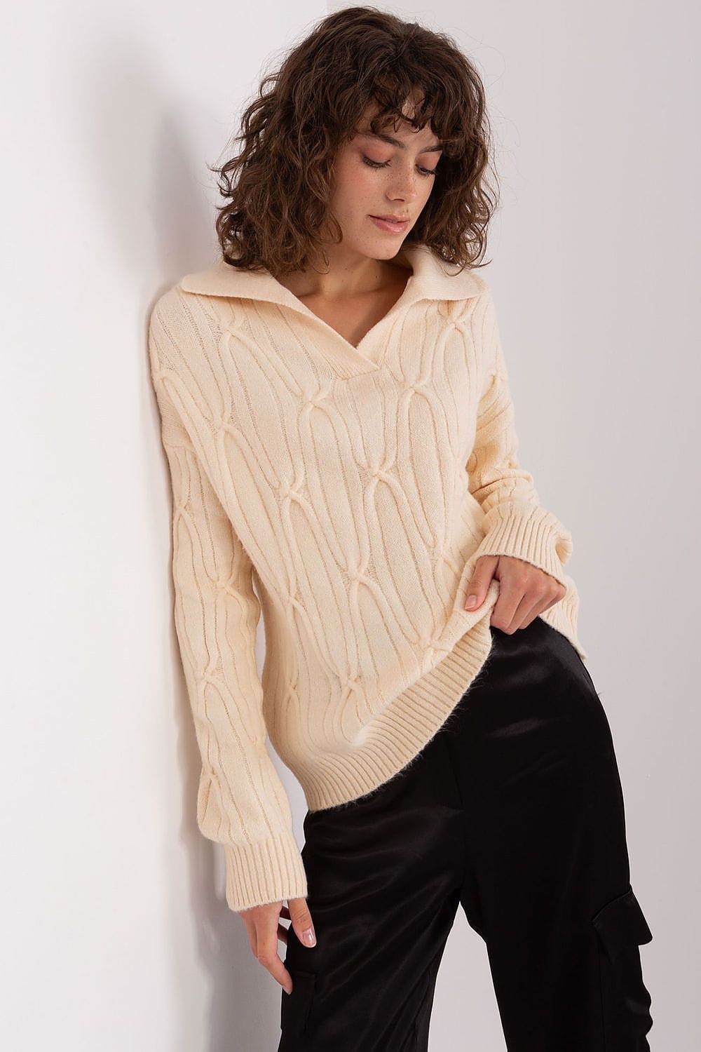 Women Sweater Collar Textured - ShalayeFashion