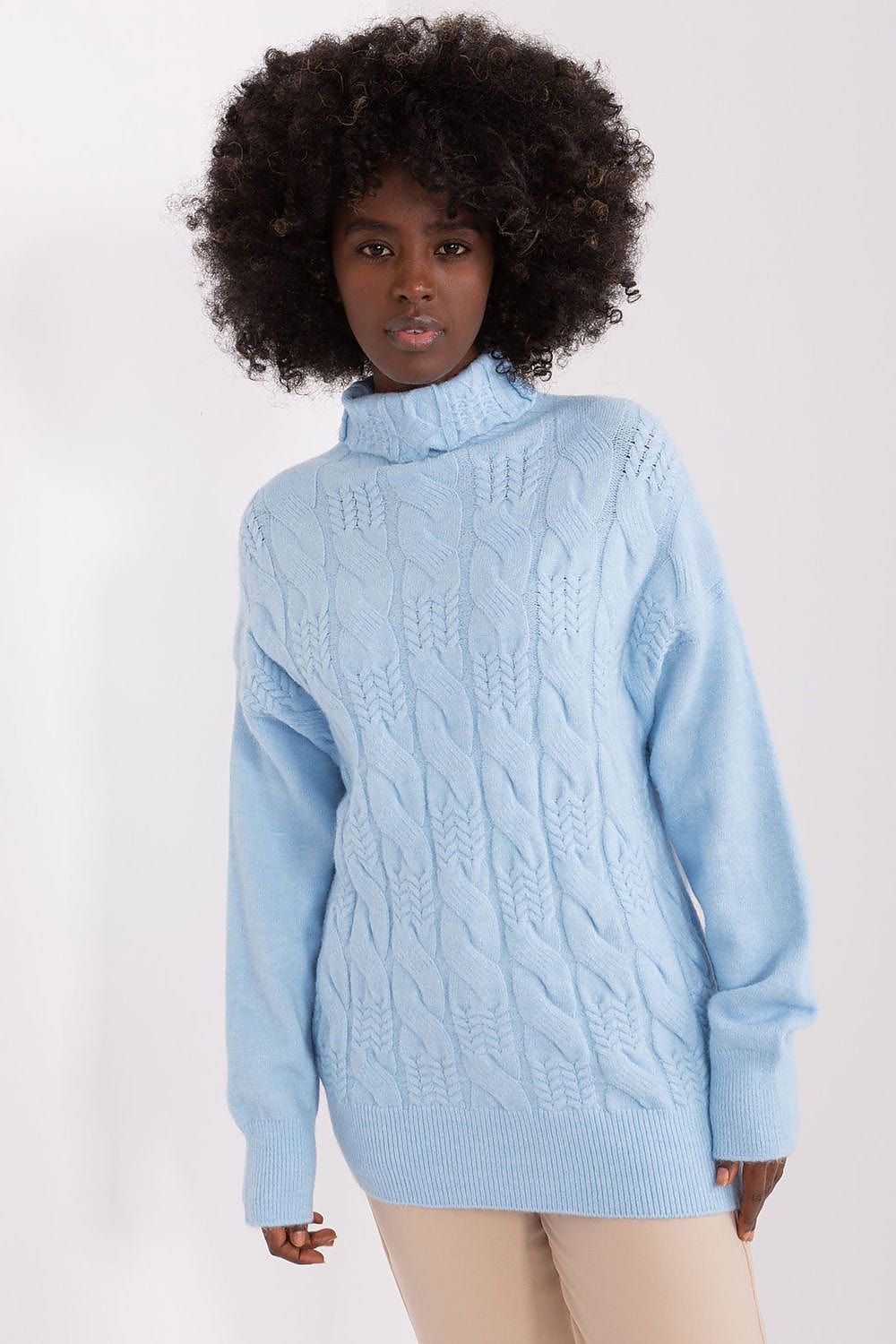 Women Turtleneck Sweater Textured - ShalayeFashion
