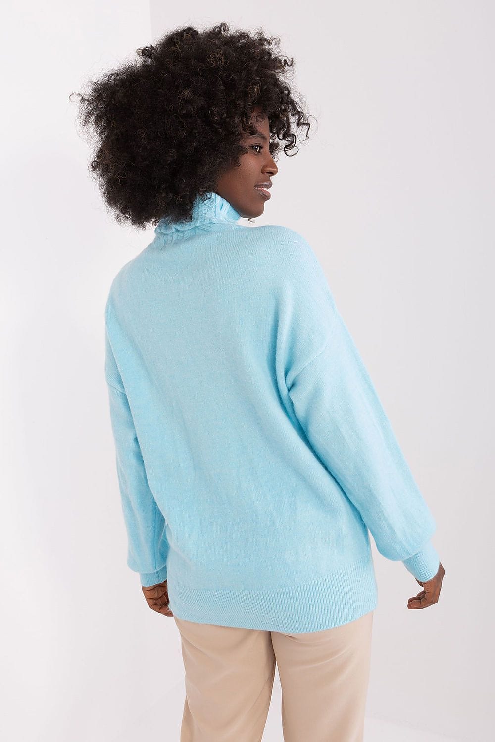 Women Turtleneck Sweater Textured - ShalayeFashion