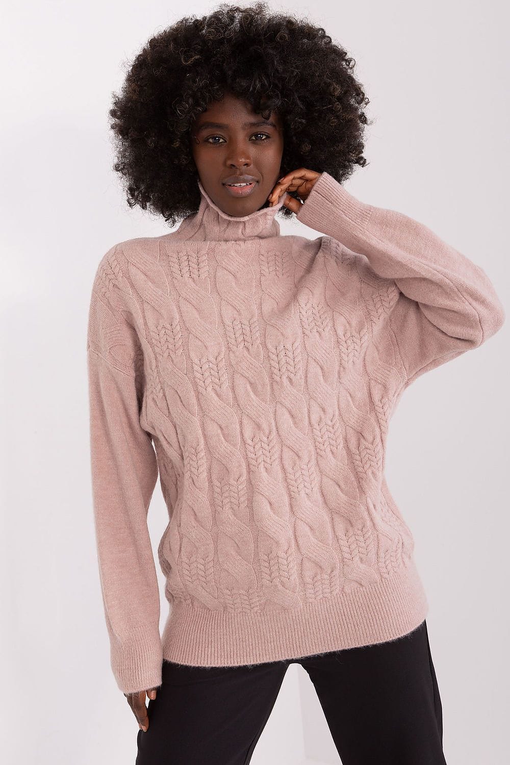 Women Turtleneck Sweater Textured - ShalayeFashion