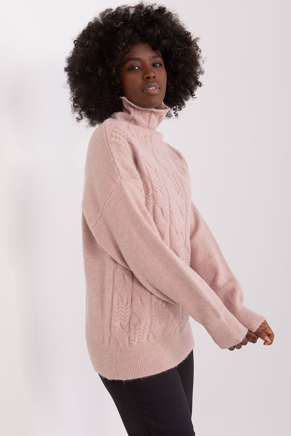 Women Turtleneck Sweater Textured - ShalayeFashion