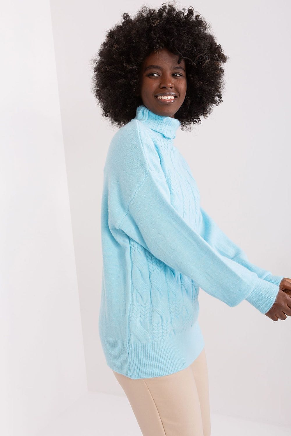 Women Turtleneck Sweater Textured - ShalayeFashion