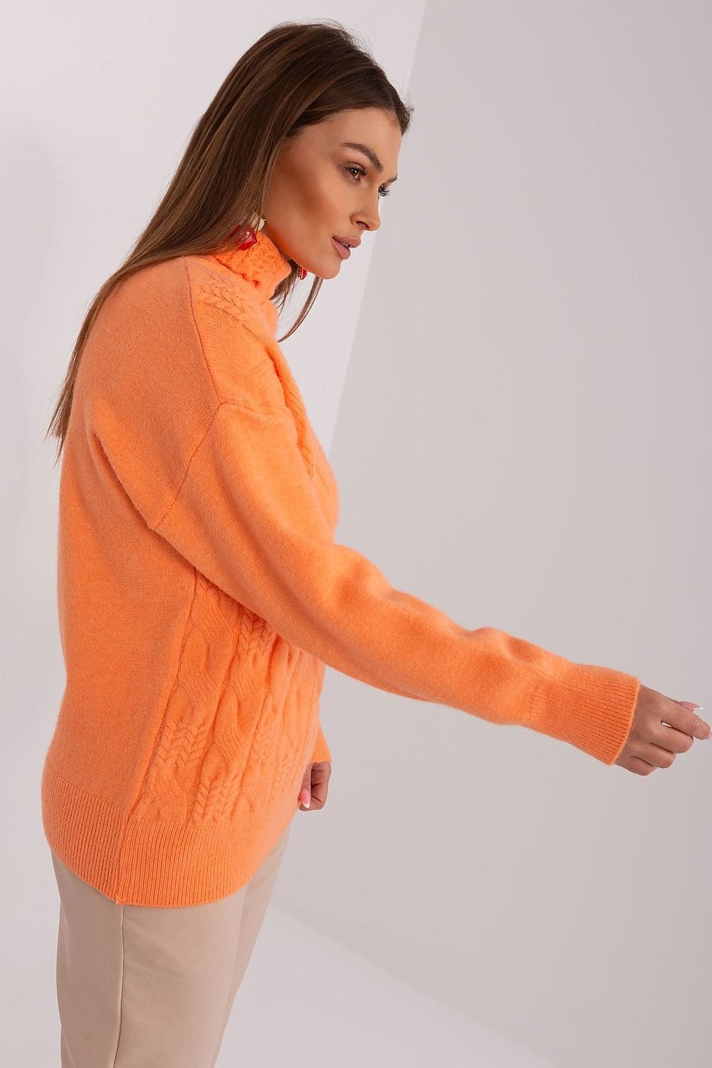 Women Turtleneck Sweater Textured - ShalayeFashion