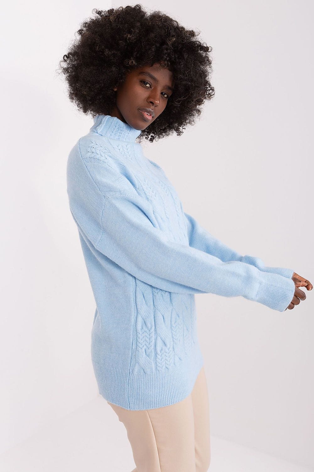 Women Turtleneck Sweater Textured - ShalayeFashion