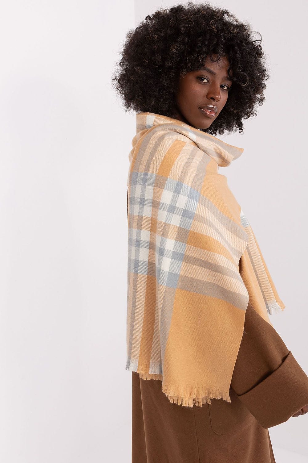 Women's Colorful Plaid Scarf Long Polyester - ShalayeFashion