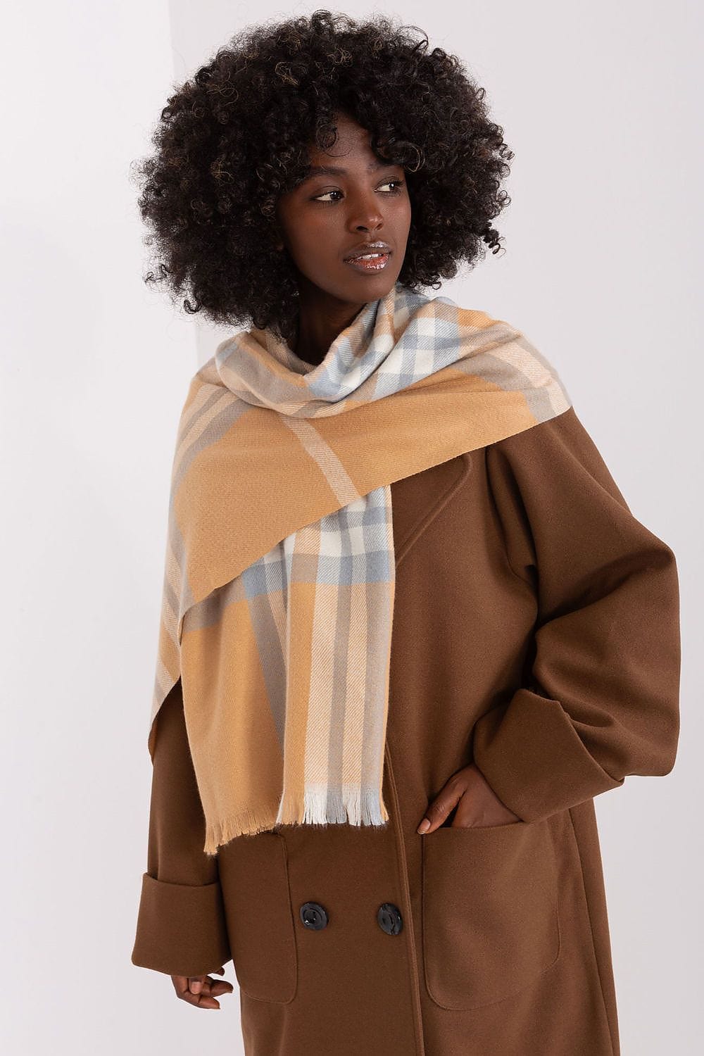 Women's Colorful Plaid Scarf Long Polyester - ShalayeFashion