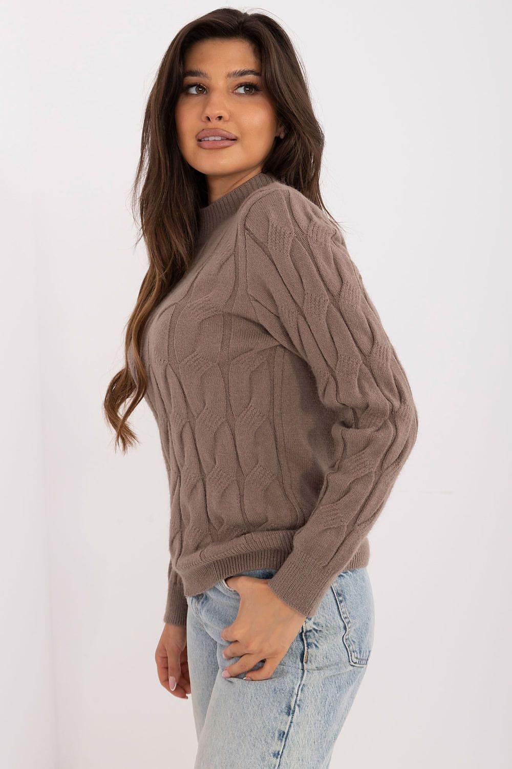 Women's Turtleneck Sweater Casual - ShalayeFashion